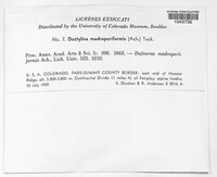 Image Associated With the Occurence